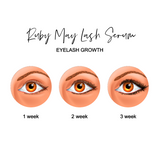 Essentials - Lash Growth Serum